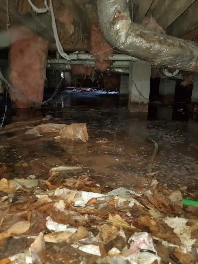 Crawl space flood assessment for Leak Detection & Repair in Lake Hallie