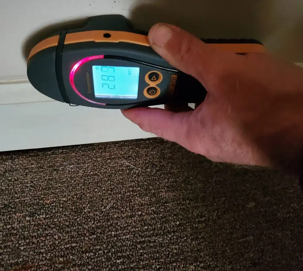 Moisture detection at baseboard during Sewage Cleanup & Sanitation in Lake Hallie